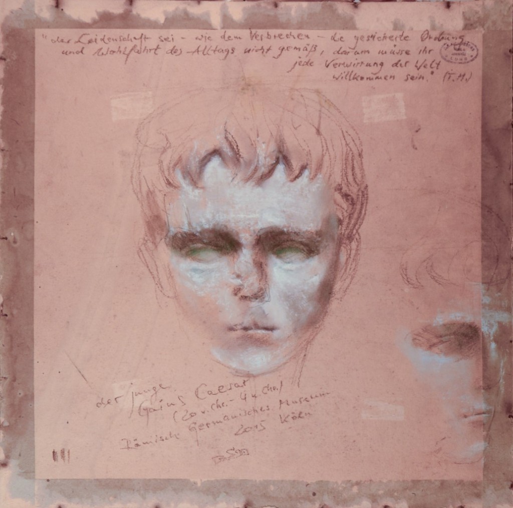 der junge Gaius Caesar 20 v. - 4 n. Chr.
     Römisch-Germanisches Museum Köln 2015